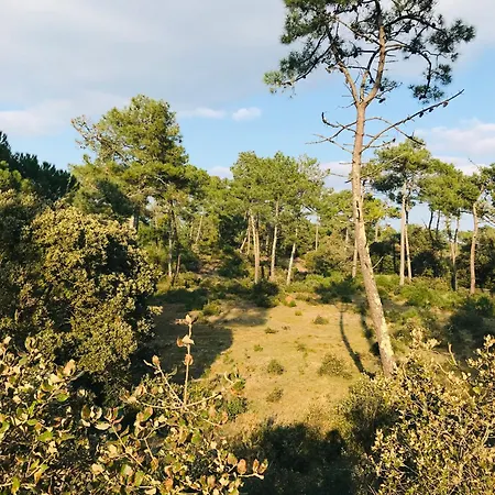 Face Ocean, Panoramique Διαμέρισμα *