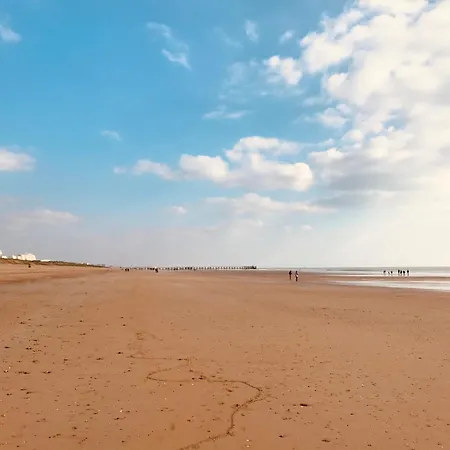 Face Ocean, Panoramique