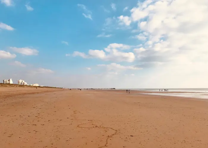 Face Ocean, Panoramique